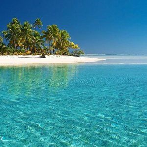 Meet your Posher, Irin